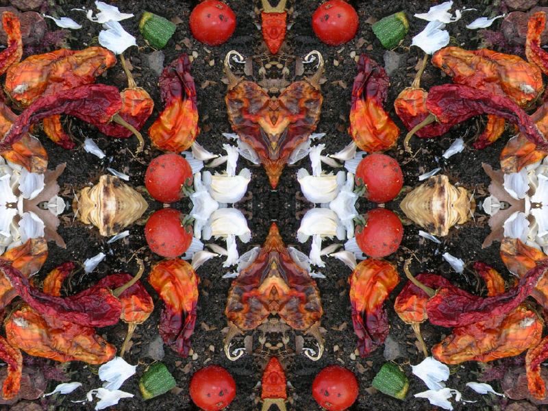 What’s going on with composting at Carleton? Sustainability at