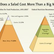 Food subsidies vs. food pyramid