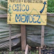 Chico Mendez Reforestation Project in Cantel, Guatemala