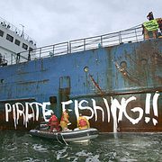 Greenpeace Tagging Ship