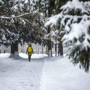 student walking along a snowy sidewalk