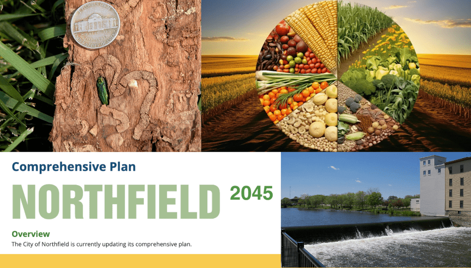 cover of NFLD 2044 Comprehensive Plan document