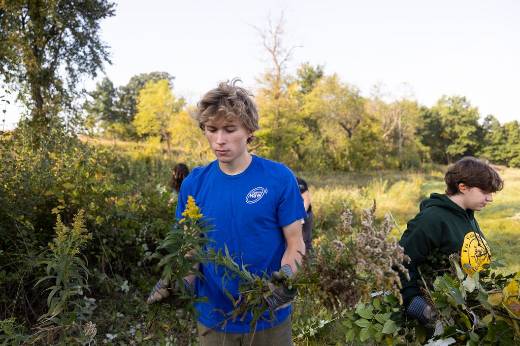 College students clearing buckthorn out of arb