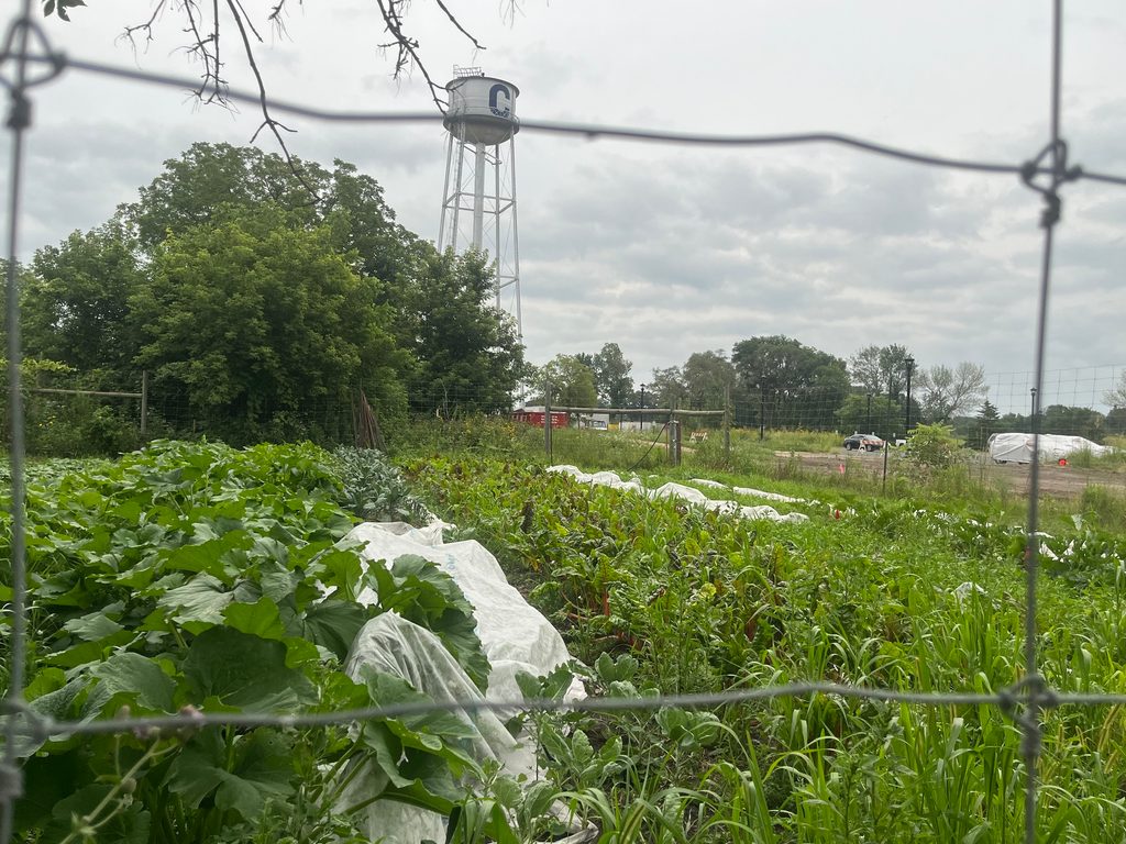 green field