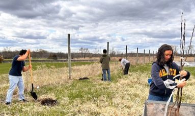 students working in a field