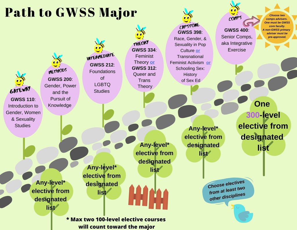 Infographic of the requirements for the GWSS major.