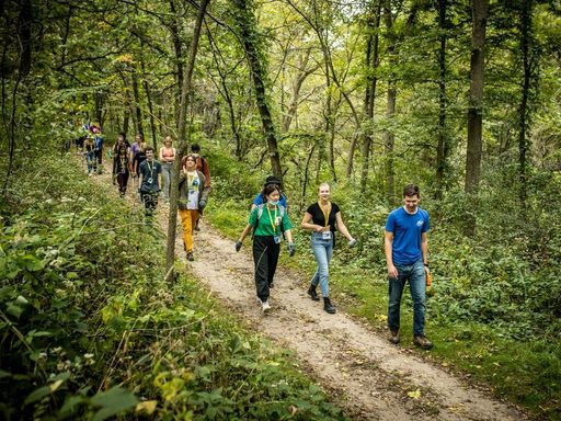 A group of people walking through the arboretum
