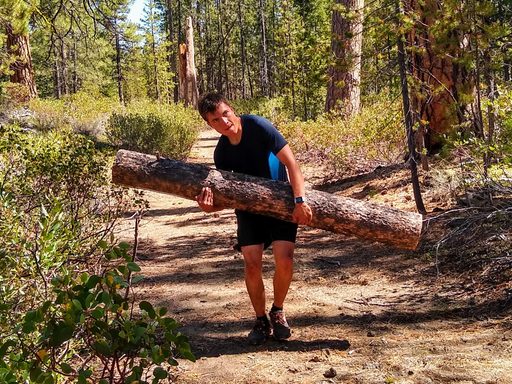 A man carries a log