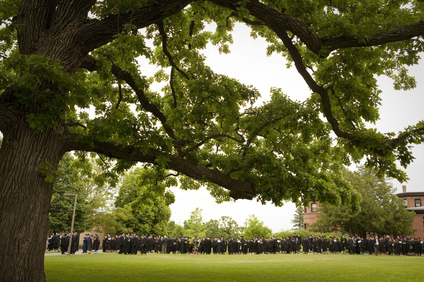 a long line of students in commencement garb