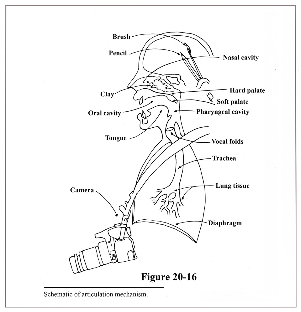 schematic for articulation