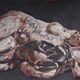 Tamar Segev: “Untitled”