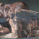 Tamar Segev: “Untitled”