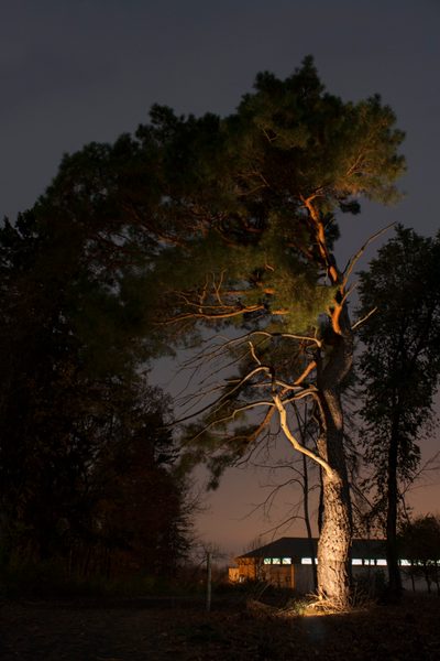 Abby Star: “Night Light”
