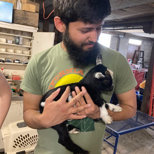 Siraj Bell holding a baby goat