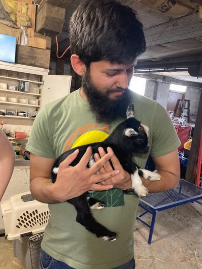 Siraj Bell holding a baby goat