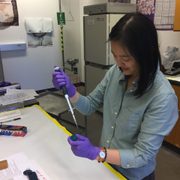 Joyce Kim '17