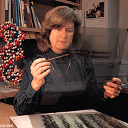 Mary-Claire King '67, Mathematics major