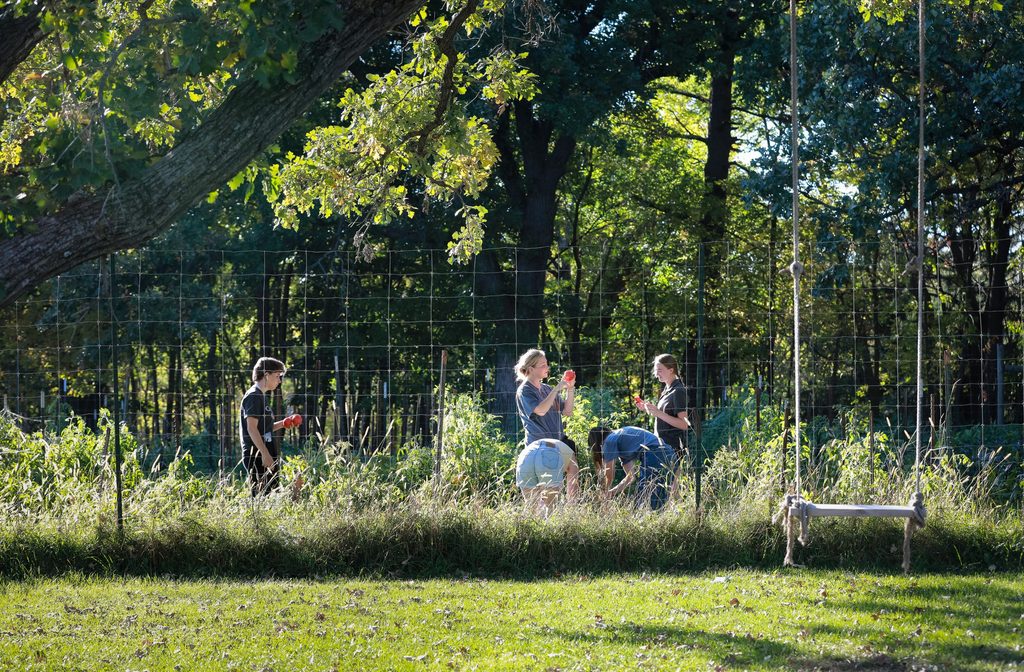 A group of students pick vegetables on the Carleton Student Organic Farm. Photo from a distance.