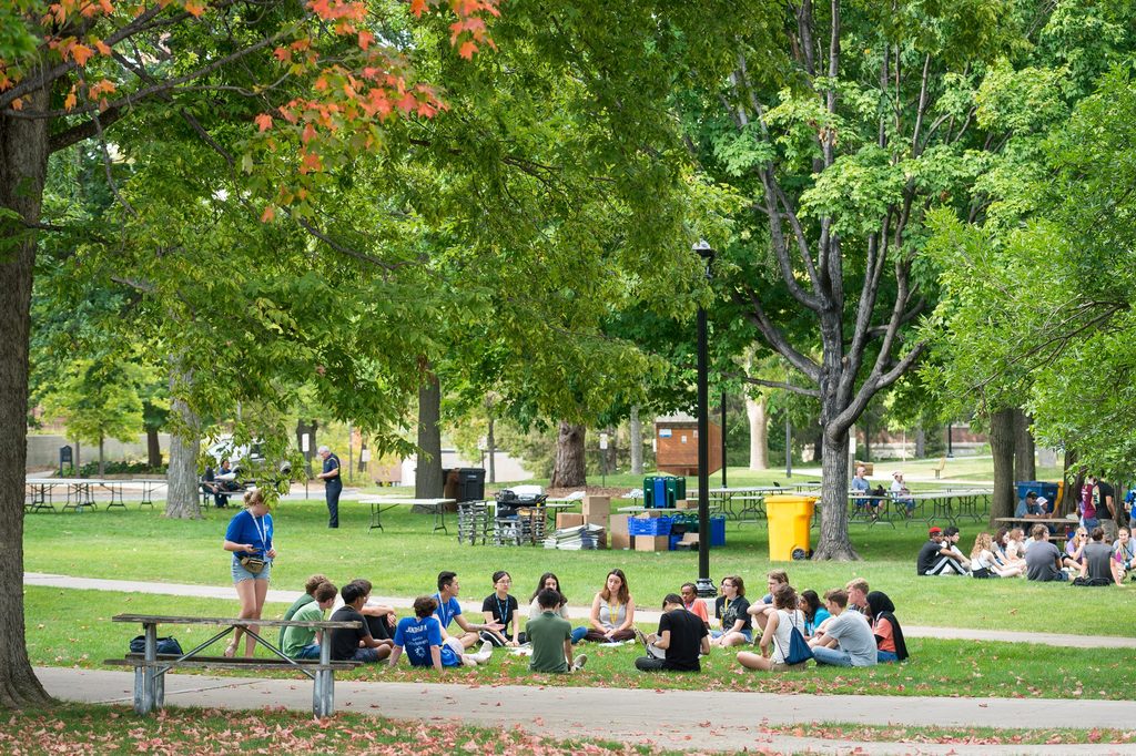 New Student Week groups gather on the Bald Spot.