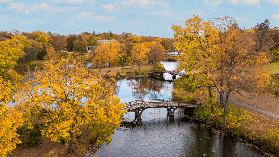 Lyman Lakes surrounded by yellow-leaved trees, focusing on the bridges that span the water.