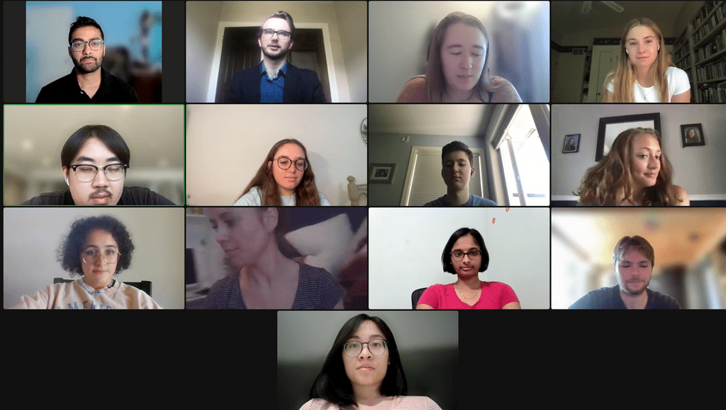 A screenshot of a Zoom call with 13 people.