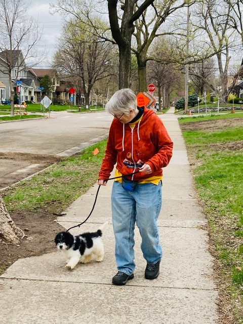 Maggie O'Connor ’74 walks a small puppy on a sidewalk.