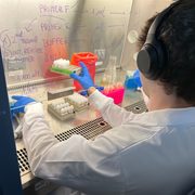 A person in a lab coat arranges test tubes in a fume hood.