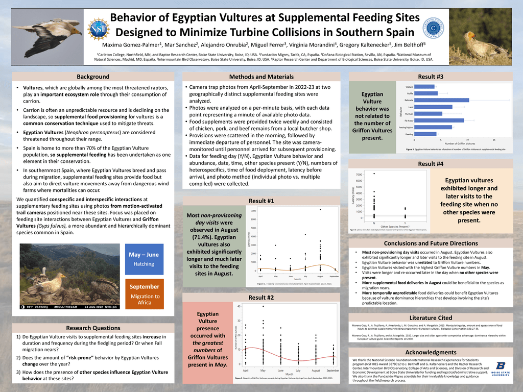 Gomez-Palmer's research poster titled, "Behavior of Egyptian Vultures at Supplemental Feeding Sites Designed to Minimize Turbine Collisions in Southern Spain."
