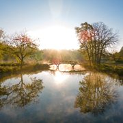 Sunrise over the bridge on Lyman Lakes.