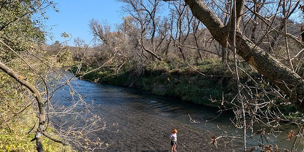 A person stands in a shallow creek.