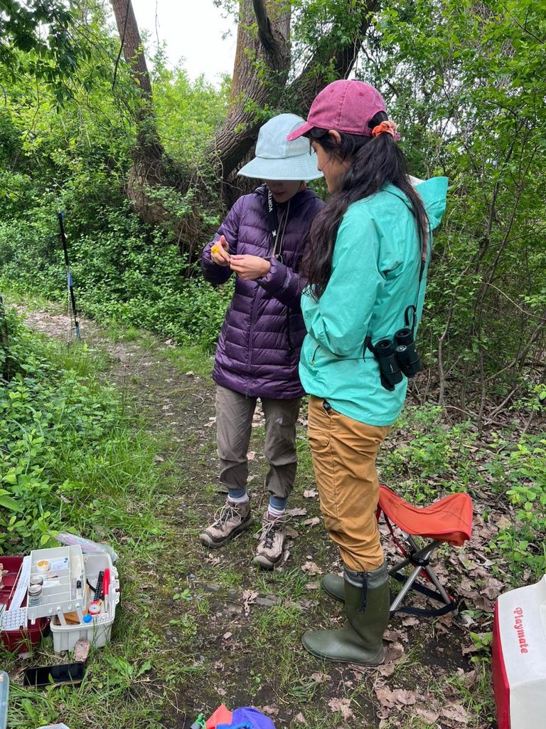 Two women studying bird feathers in a green forest.