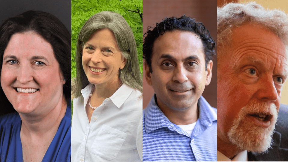 Headshots of the four highlighted Brewer award recipients in a row.