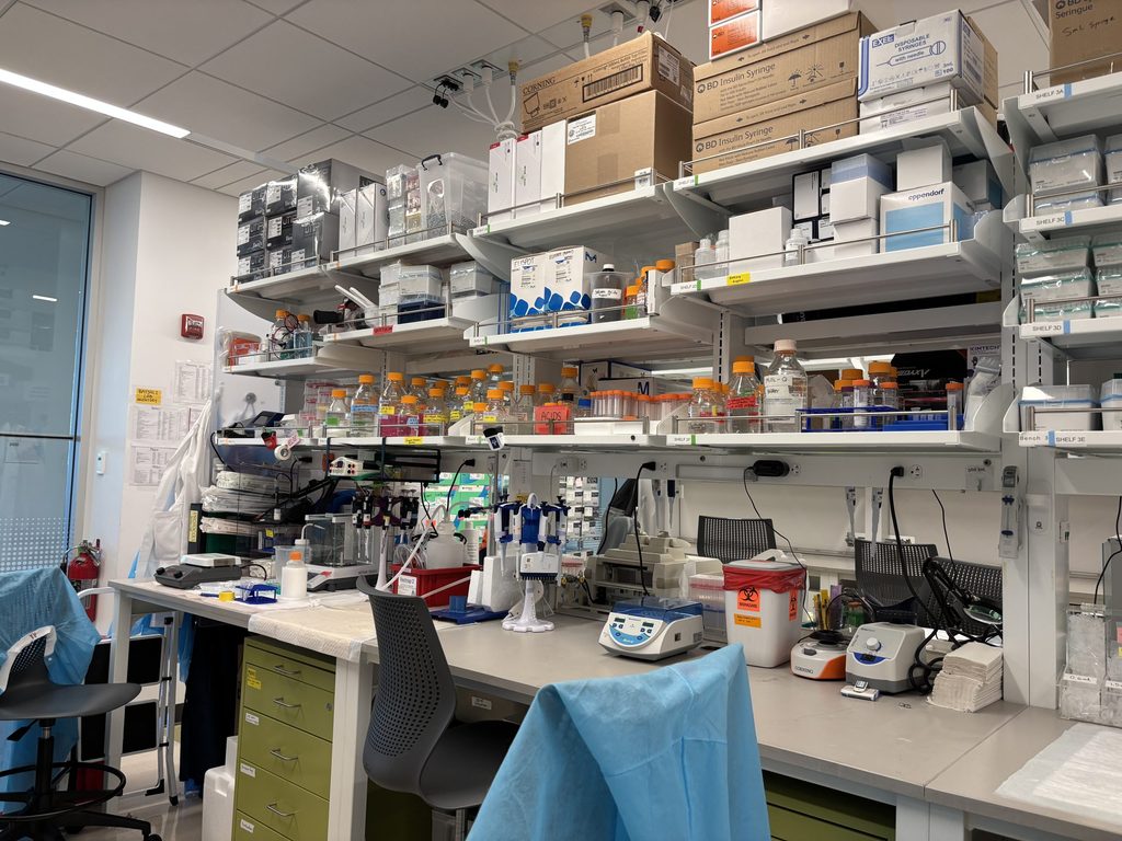 A photo of the Batsuli Lab.