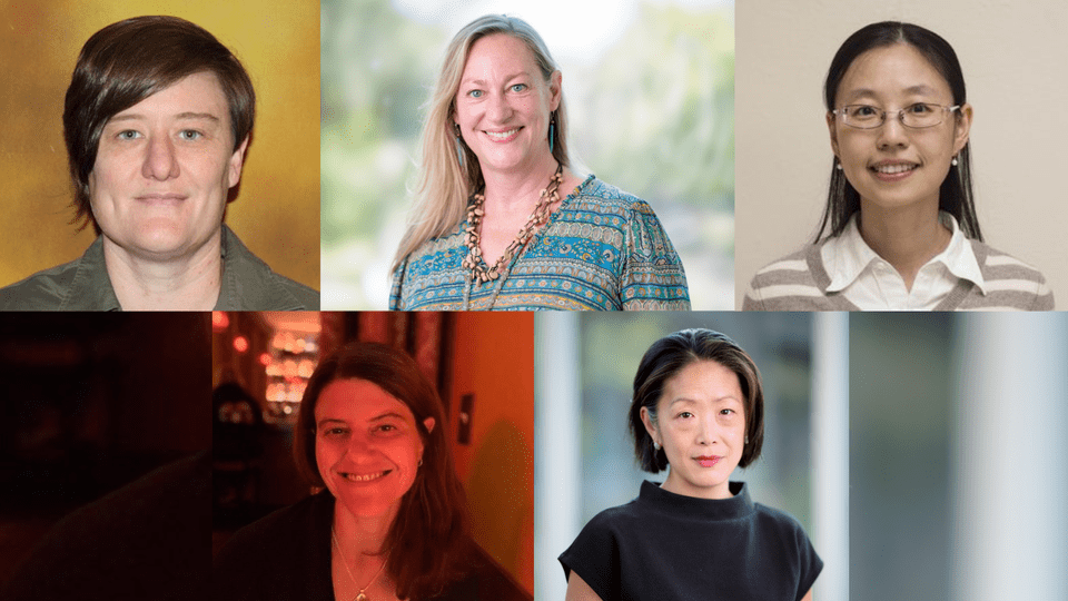 Collage of five professor headshots.