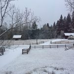 Ellie Zimmerman ‘21 - “Here is the view outside my window this winter.”