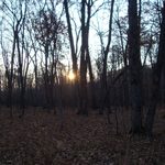 Sunset at the Big Woods