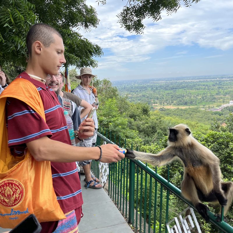 Person feeding monkey