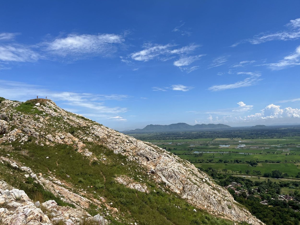 Mountainside Landscape