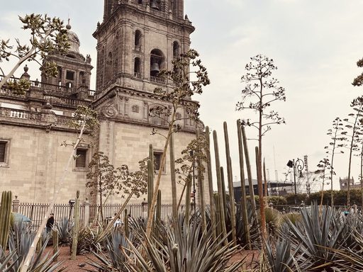 cathedral exterior in mexico