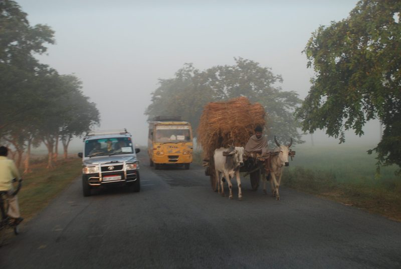 Two cars and a rickshaw overflowing with hay approach the photographer