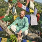 Student perches in a tree with colorful Buddhist prayer flags draped among the branches