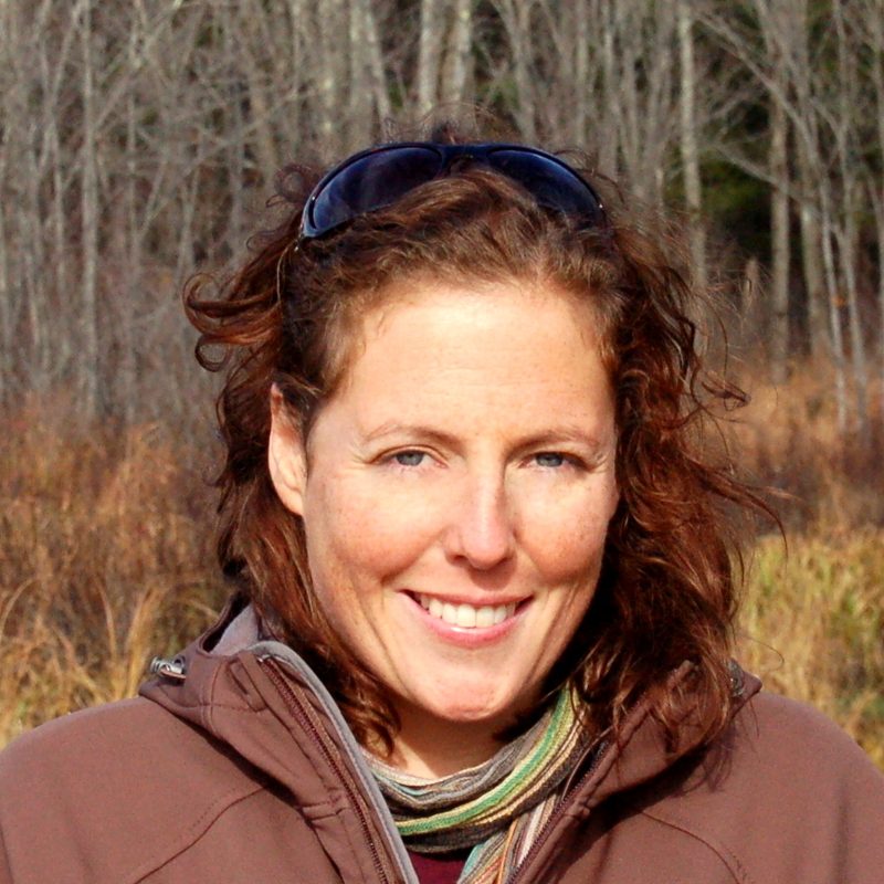 Anna Estes, Carleton Faculty Director