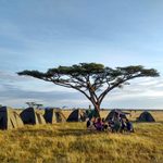 Campsite in the Serengeti
