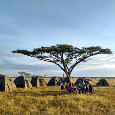Serengeti camp