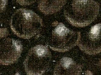 Closeup of blackberry