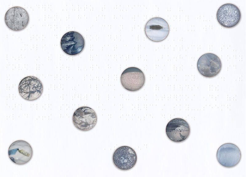 Photographs of natural objects printed on a series of small circular objects