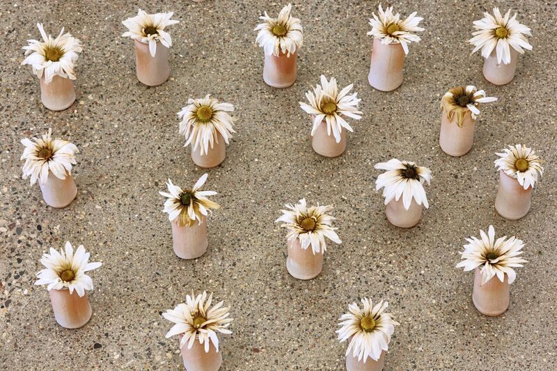 A group of daisies in vases arranged in a circle on the floor