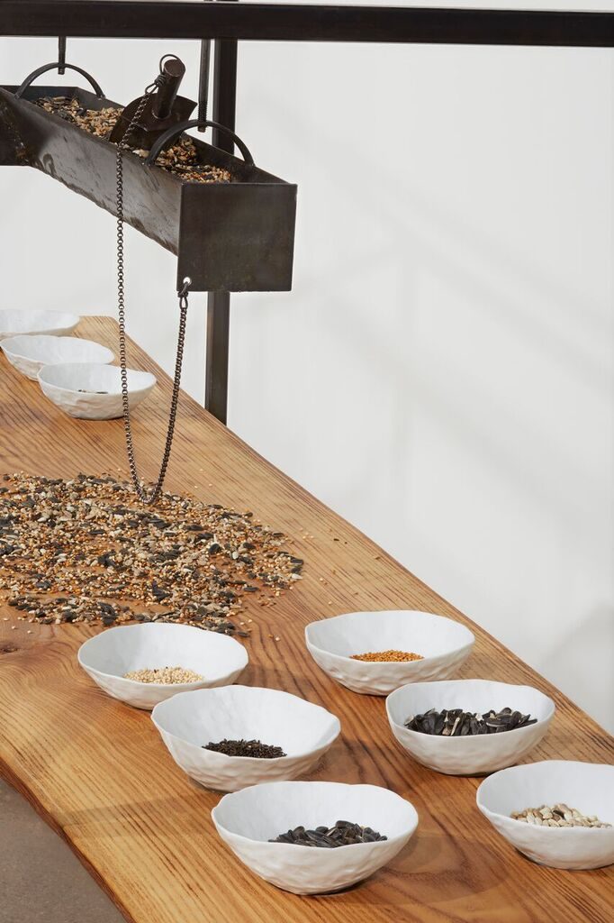 Ceramic bowls hold a collection of seeds