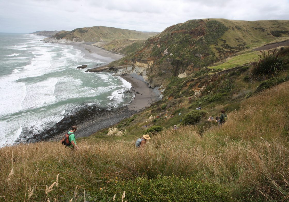 Geology in New Zealand