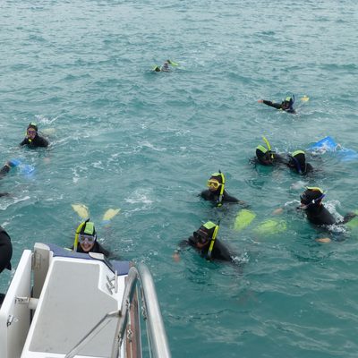 Students Snorkeling in New Zealand